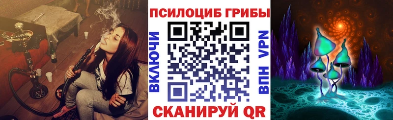 это Telegram Малая Вишера Псилоцибиновые грибы Cubensis